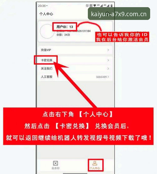 KAIYUN激活码通道详解：从申请到使用的完整攻略